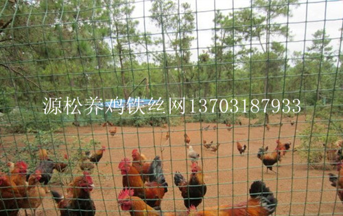 綠色養雞鐵絲網 綠色養雞鐵絲網