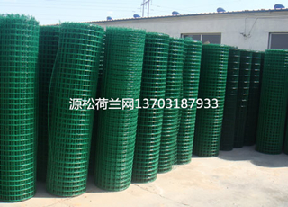 攔雞包膠綠色鐵絲網