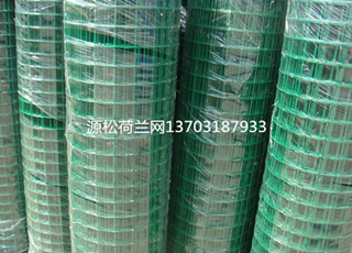綠色鐵絲網